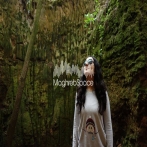 Nabyla maan sur yala.fm